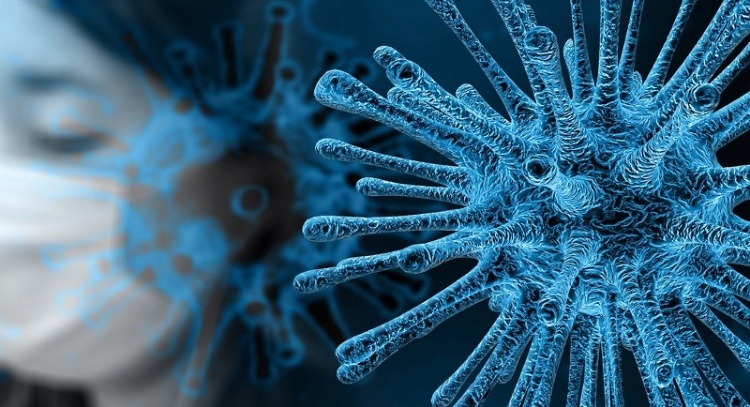 Immagine Coronavirus - Modulo di autocertificazione spostamenti